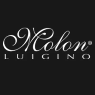 Logo Vin Italia Molon