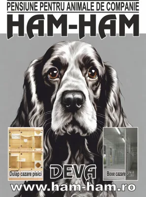 Logo Apli MAG Holding