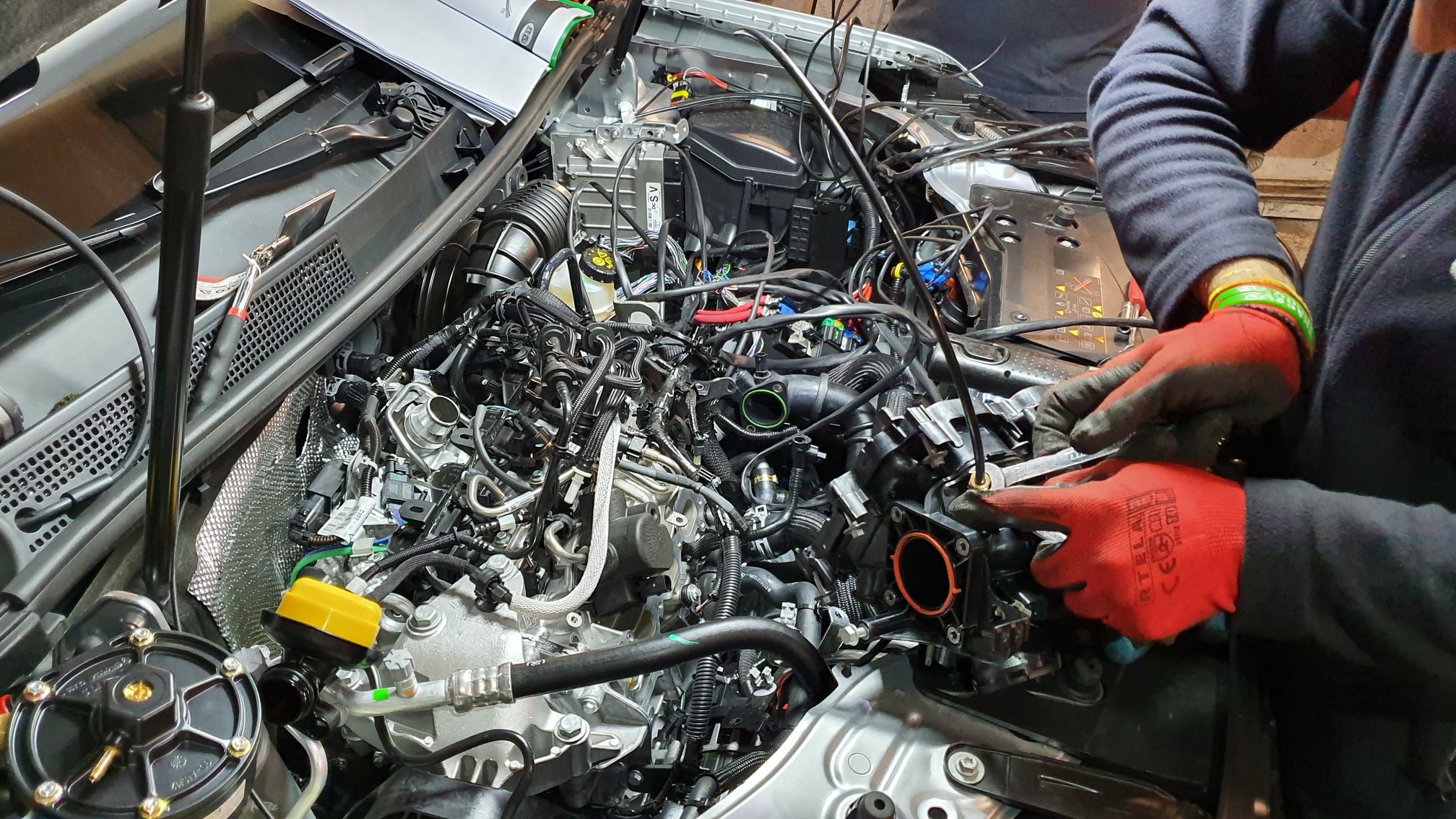 79308665_2457465717809837_1507707535790964736_n