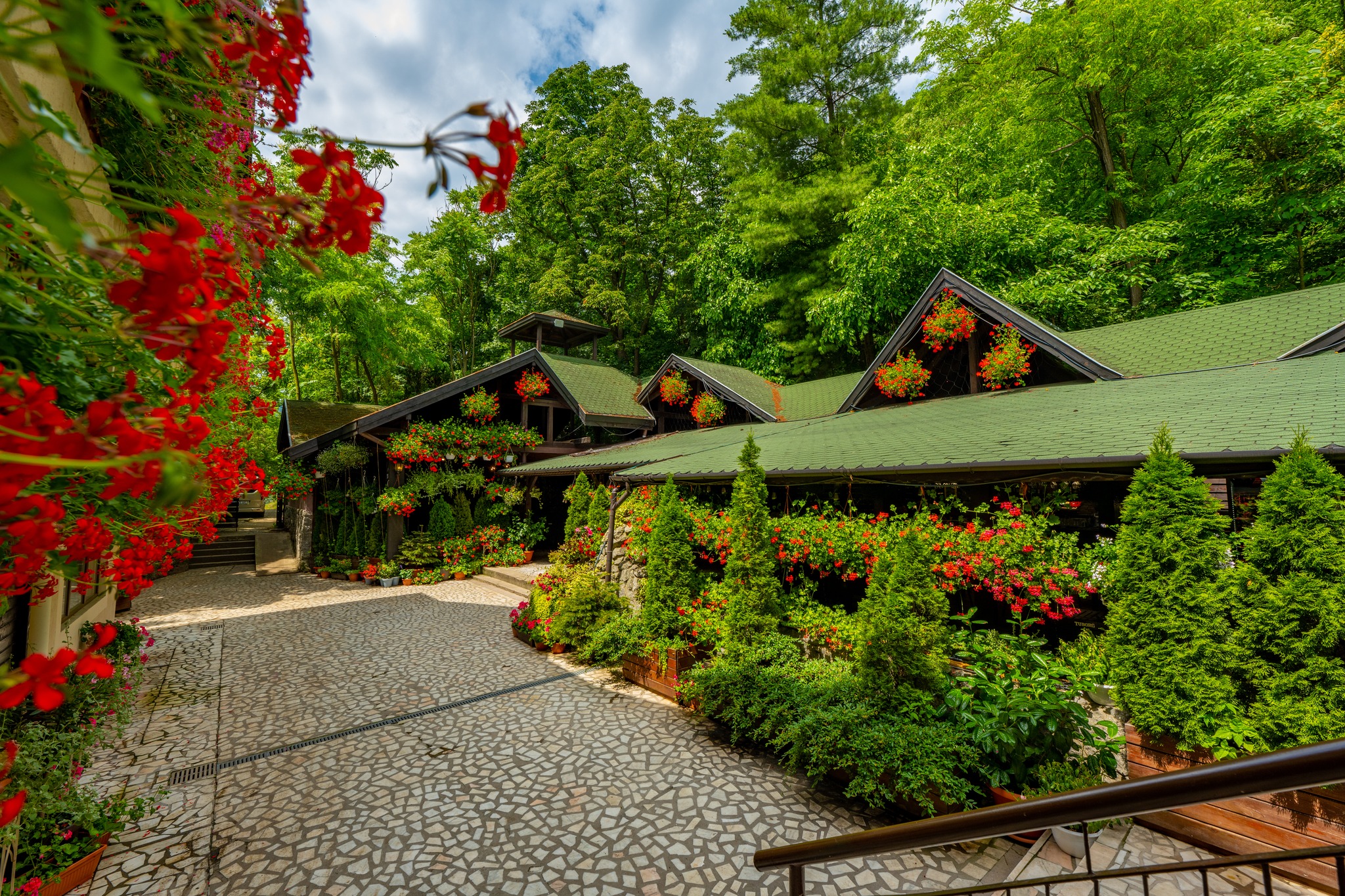 484976124_28777835348528512_8174694679932155933_n