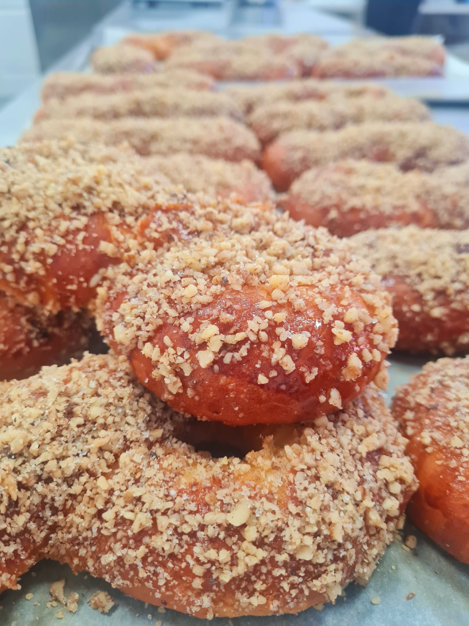 644926252_1377615787718960_1757684382708544116_n