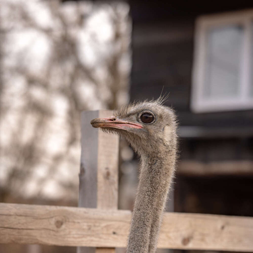 IMG_8377-scaled-e1747860302733-1024×1024-1