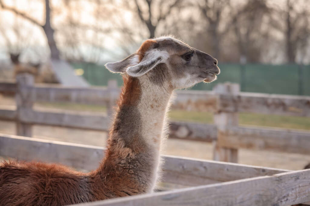 IMG_8390-1024×683-1