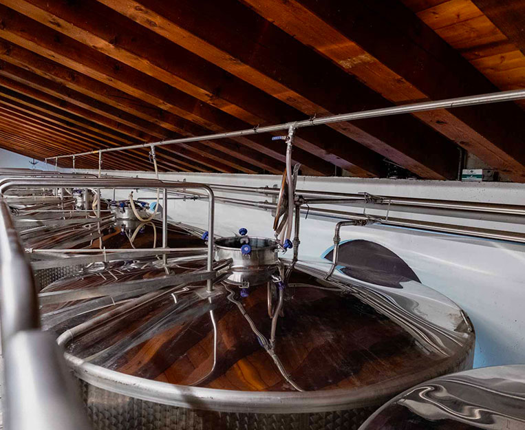 cantina-gallery-molon-luigino-7