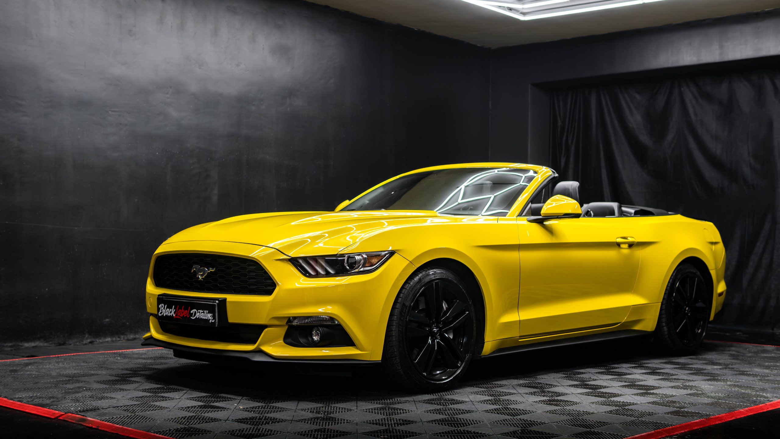 inbound8422859107776641277