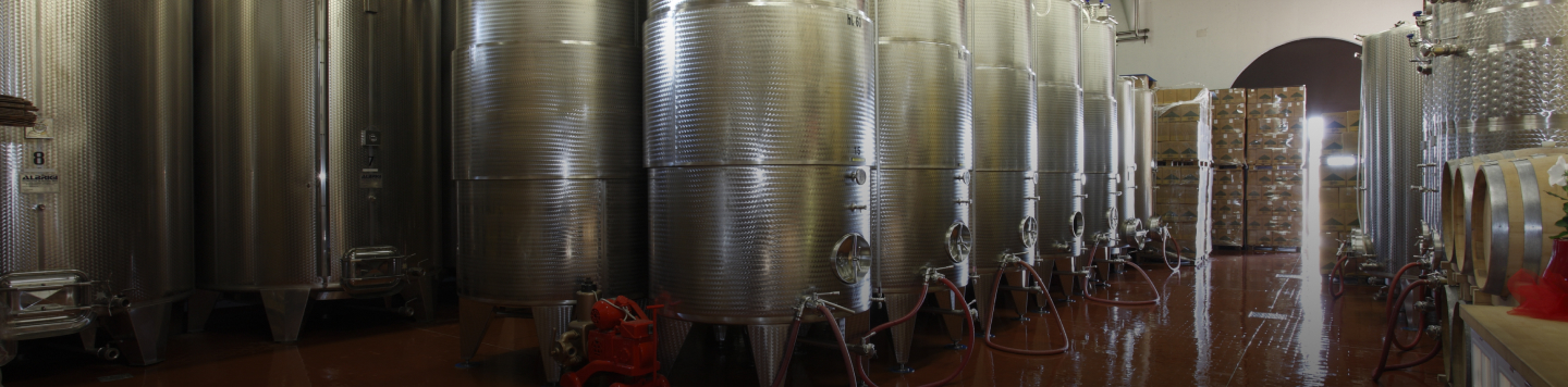 molon-luigino-cantina-cover